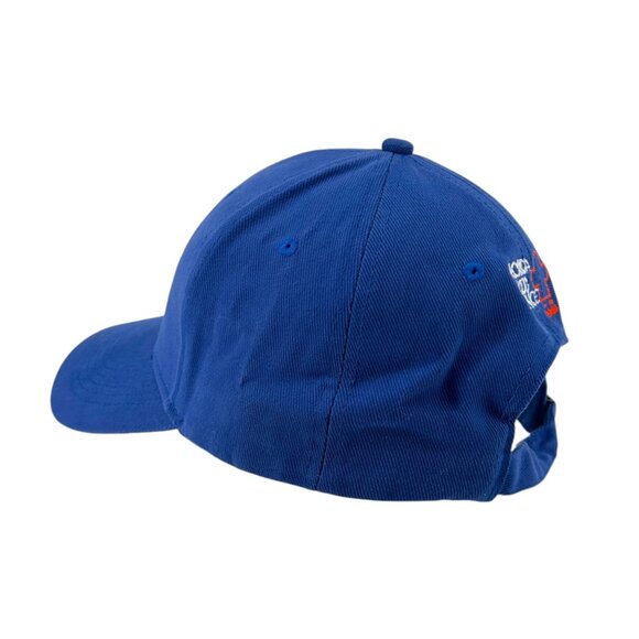 Vintage Anvil Gainesville Quarterback Club Strapback Cap Embroidred UF Gators - Picture 4 of 13